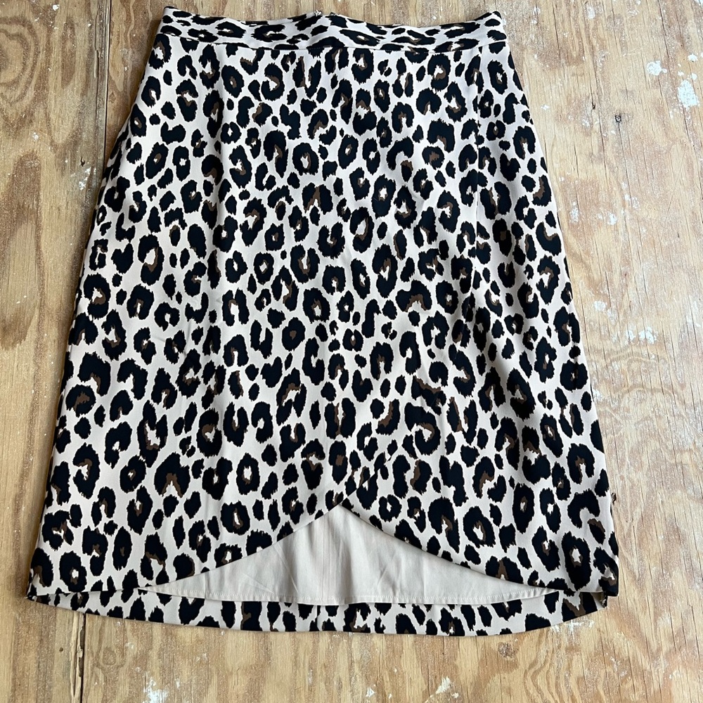Ann Taylor Skirt